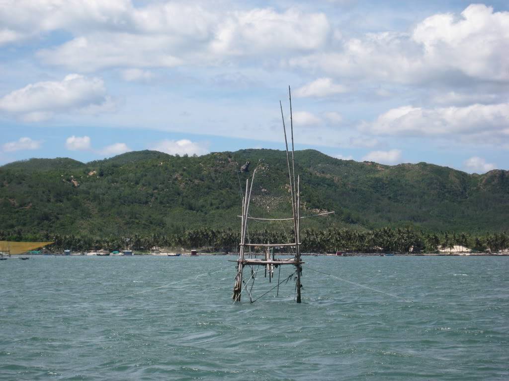 IMG_3878.jpg