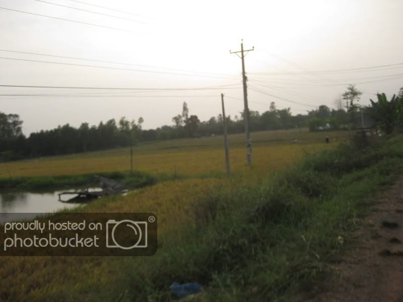 DongThapTET2011522.jpg