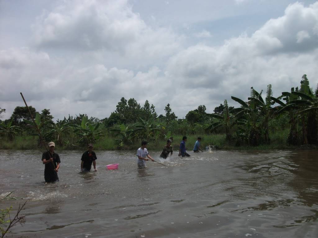 DSCF2468.jpg