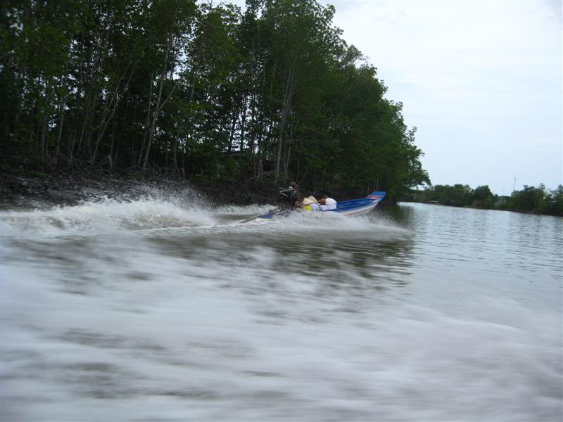 IMG_6537Medium.jpg