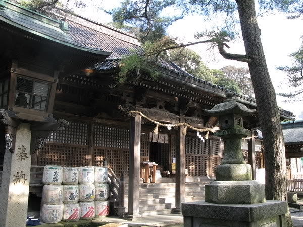 IMG_1932_resize.jpg