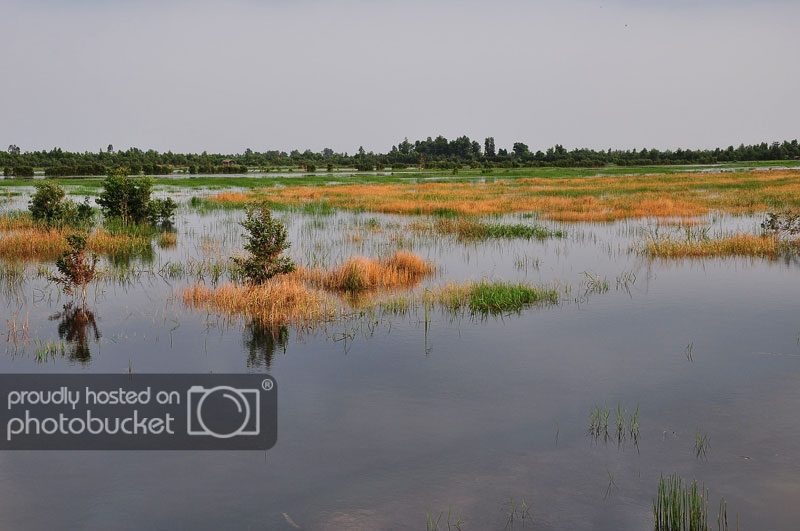 DSC_5198.jpg