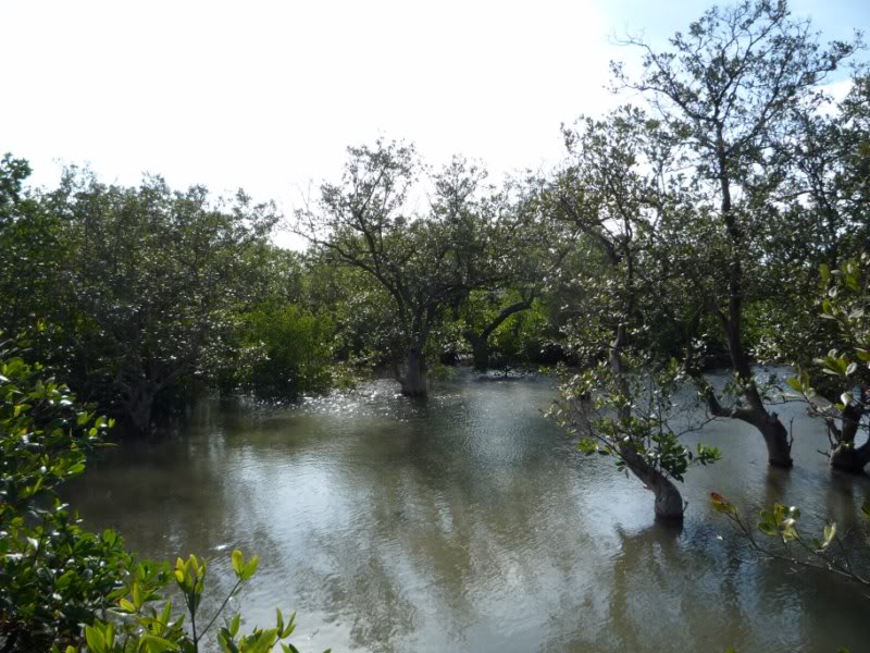 P1030165800x600.jpg