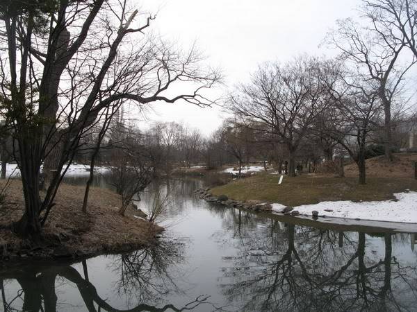 IMG_3850_resize.jpg