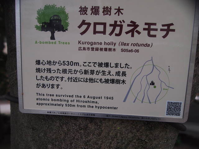 36468242406_facb10d61a_z.jpg