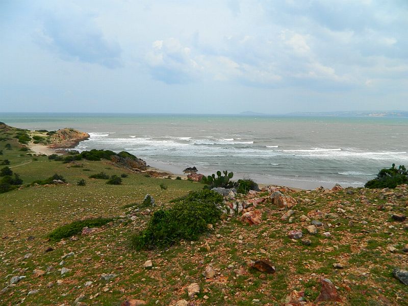 DSCN2222.jpg