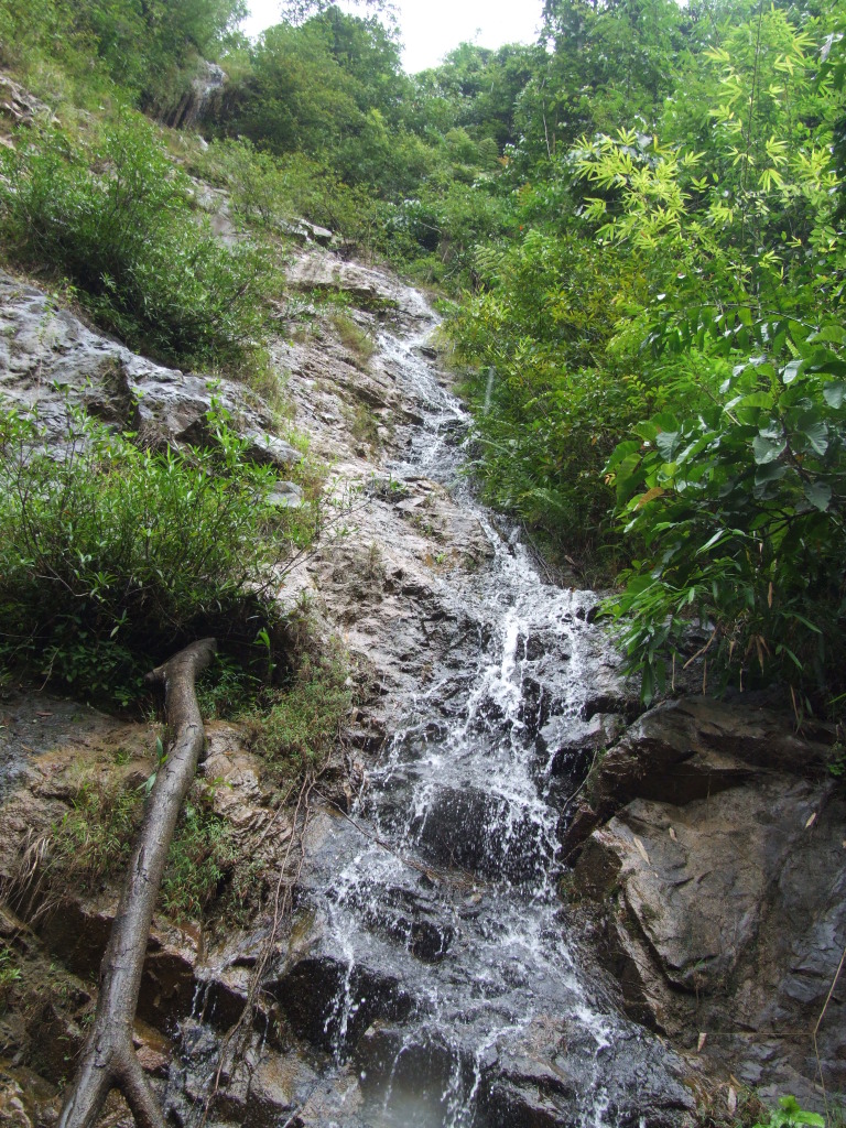 DSCF1602.jpg
