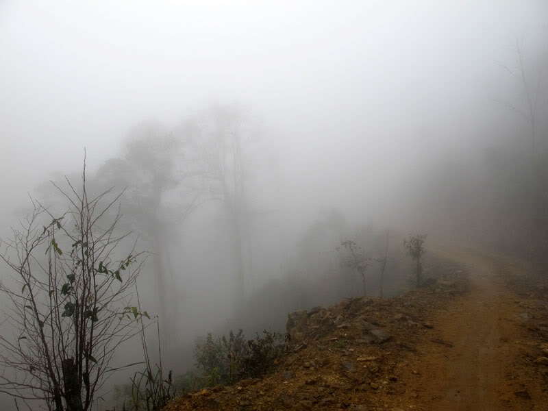 HongNgai2011726.jpg