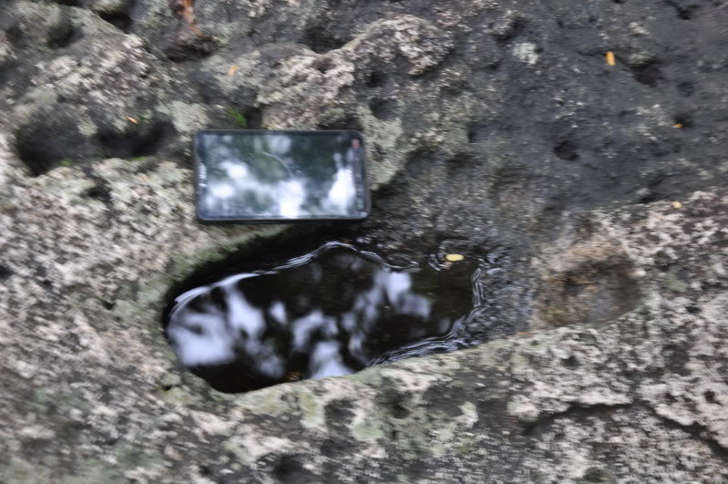 DSC_0484.jpg