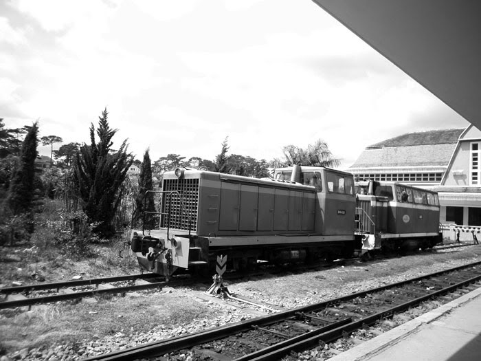 P1000654.jpg
