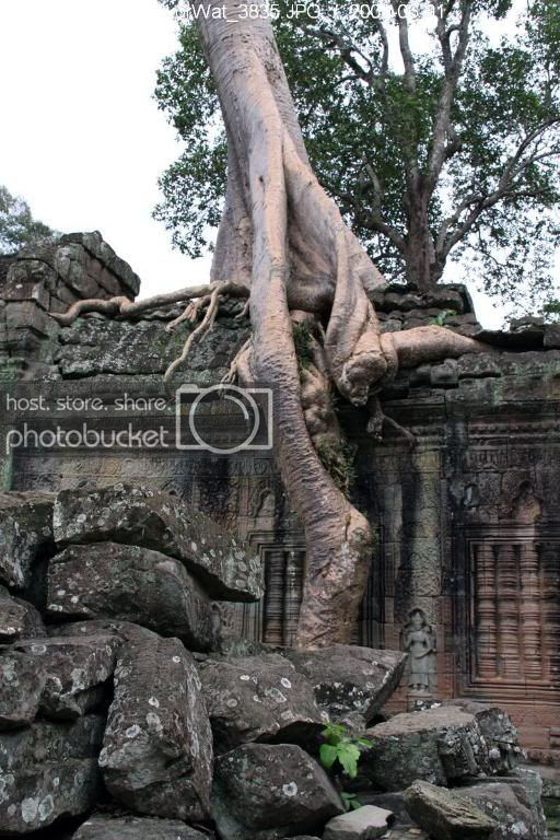 K90601CambotAngkorWat_3835.jpg