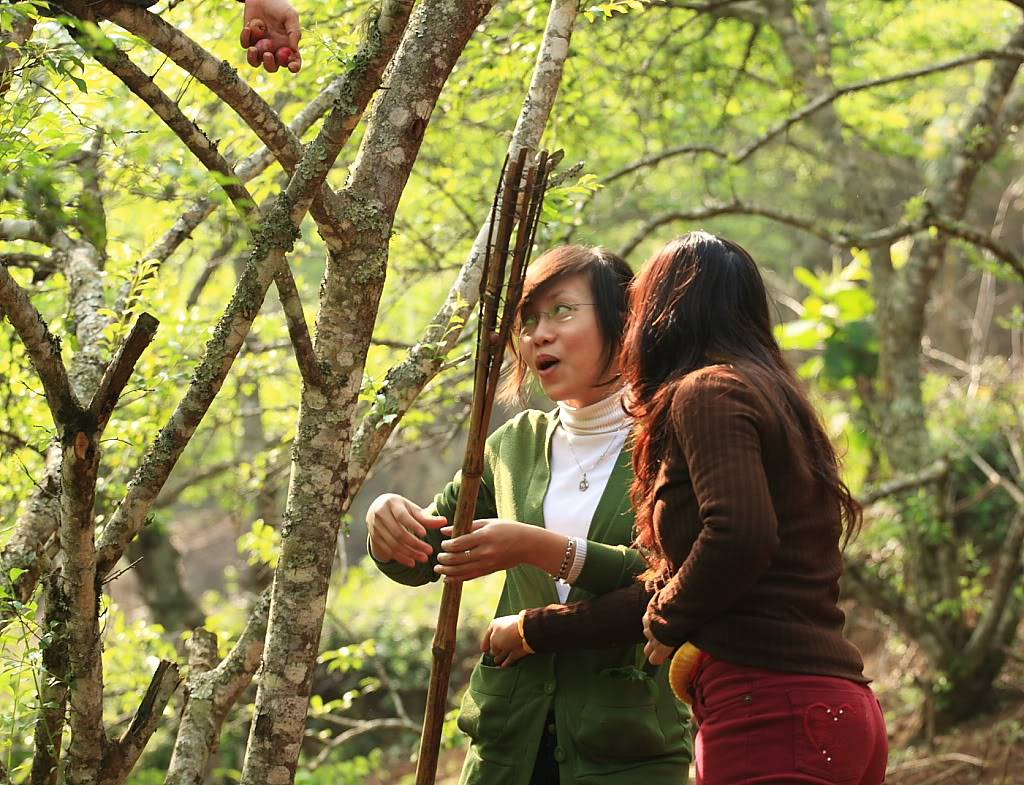 Trang3.jpg