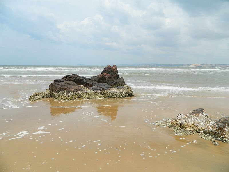 DSCN2261.jpg