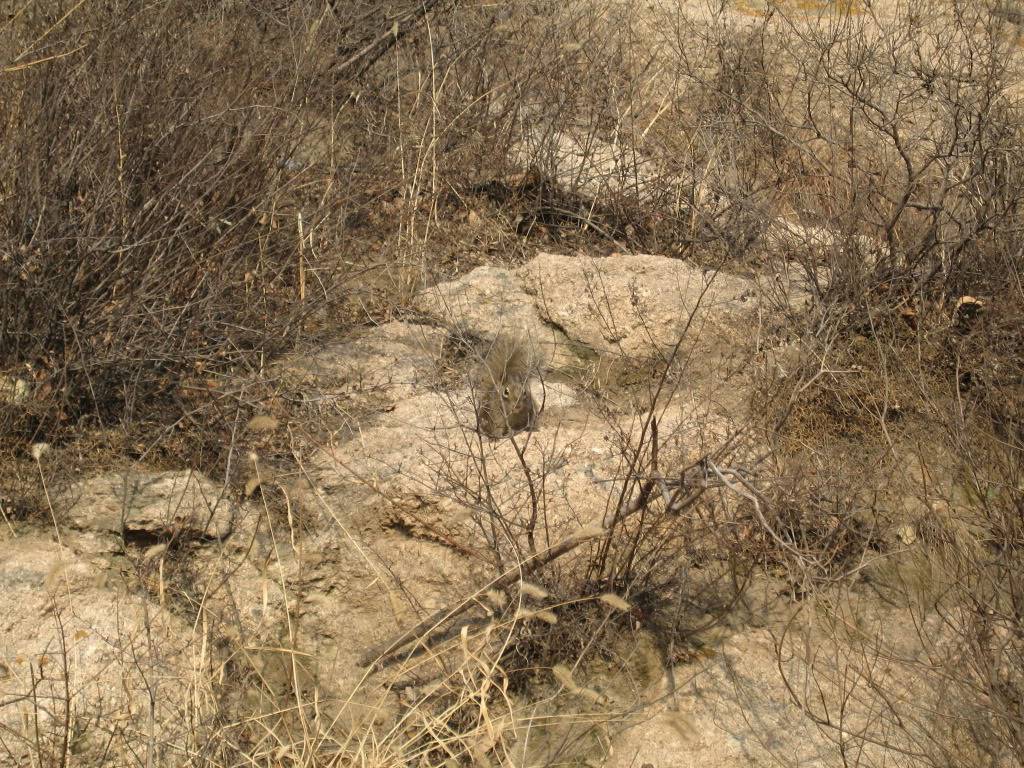 Nature.jpg