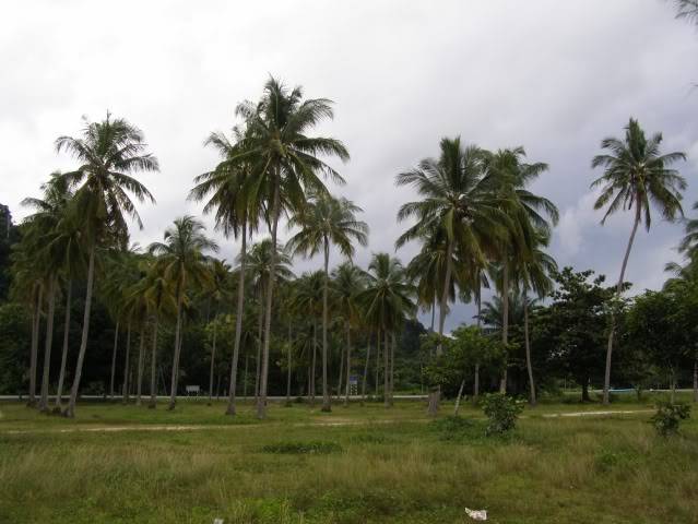 P7120511.jpg