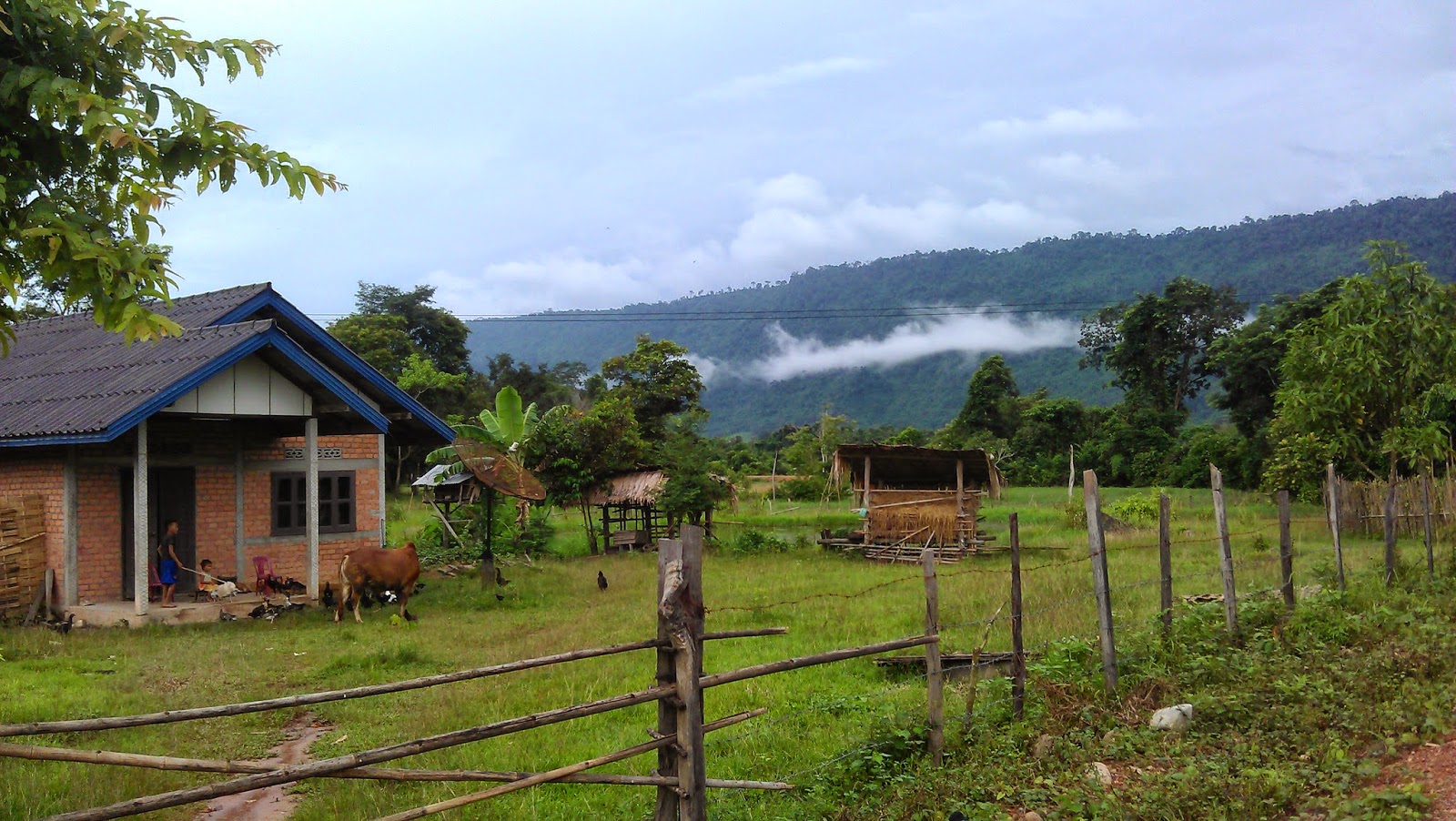 IMAG1408.jpg