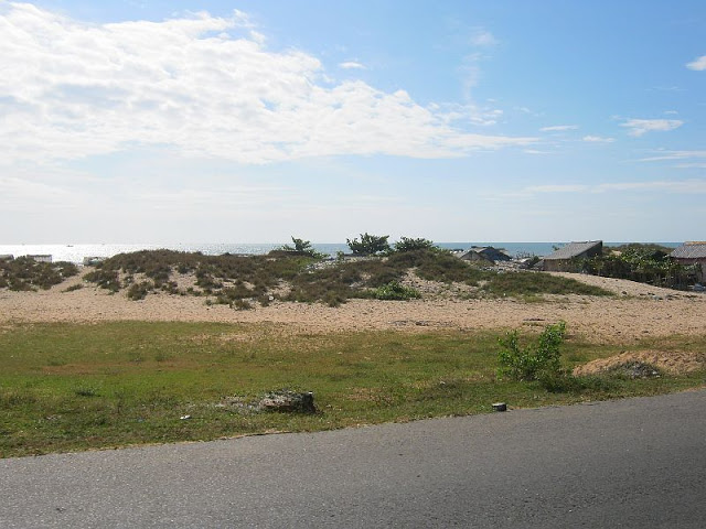 IMG_8200.jpg