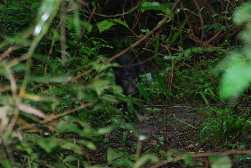 DSC_6057.jpg