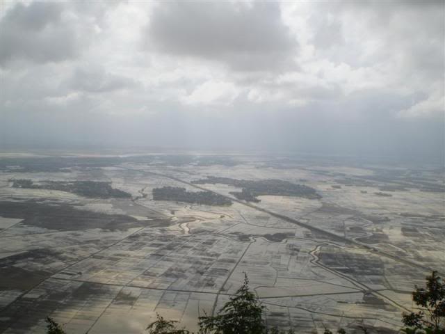 P1010270Medium.jpg