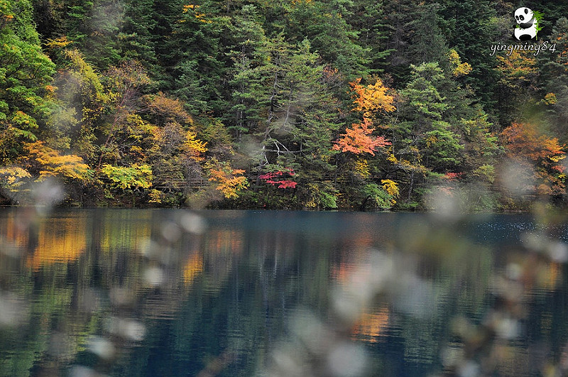 10683831204_a2a95d818b_c.jpg