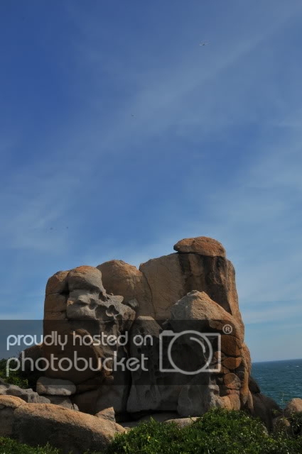 DSC_1951.jpg