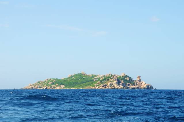 DSC_4488.jpg