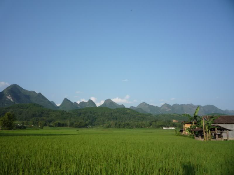 P1010755800x600.jpg