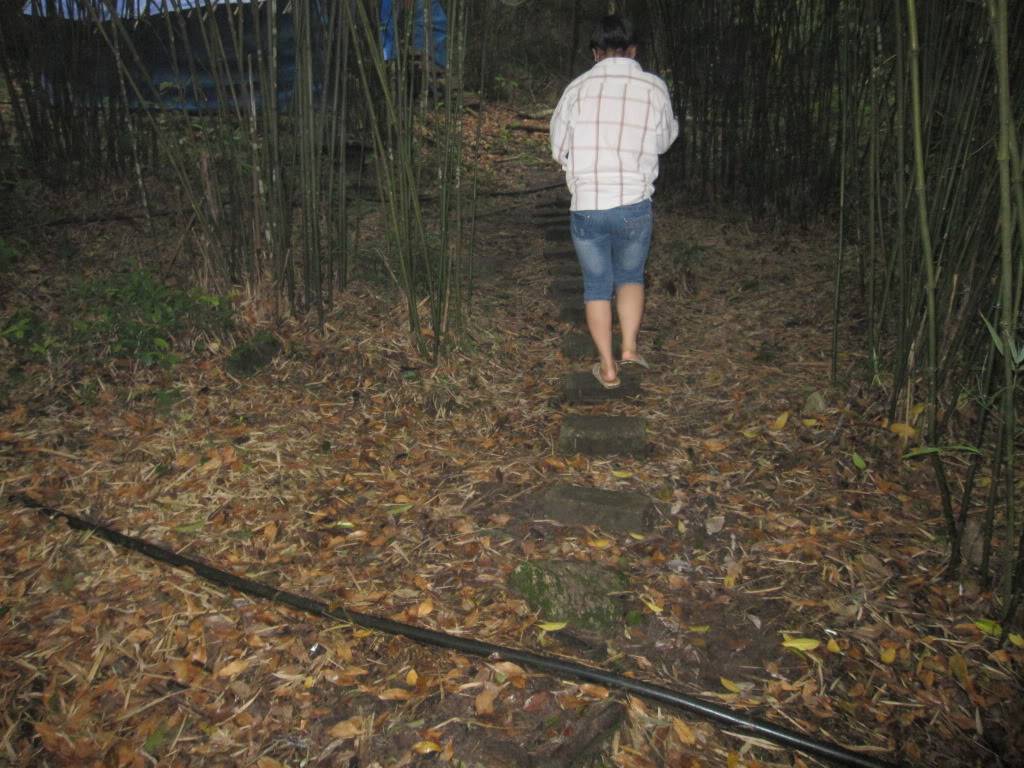 IMG_0013.jpg