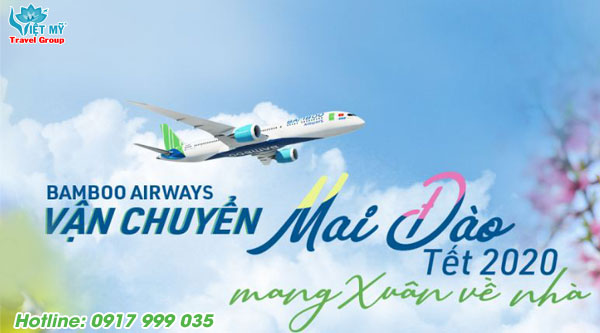 Bamboo Airways triển khai dịch vụ chuyển đào/mai Tết Canh Tý 2020