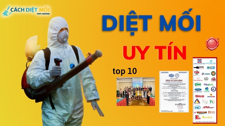 diet-moi-uy-tin-top-10.jpg
