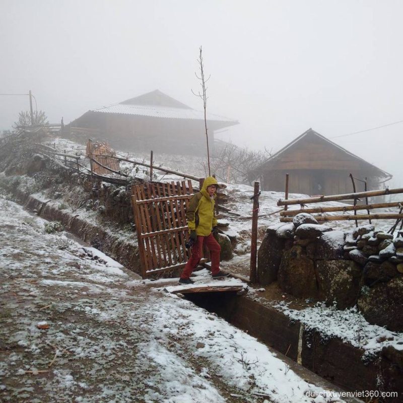 Sương mù và tuyết phủ kín Sa Pa những ngày đông