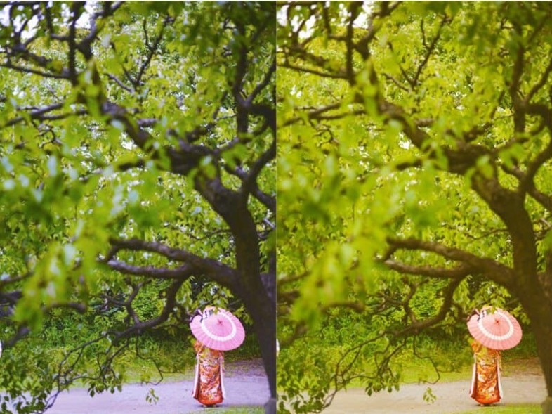 Hai bức ảnh so sánh cách dùng màu khi chụp ảnh check-in du lịch 
