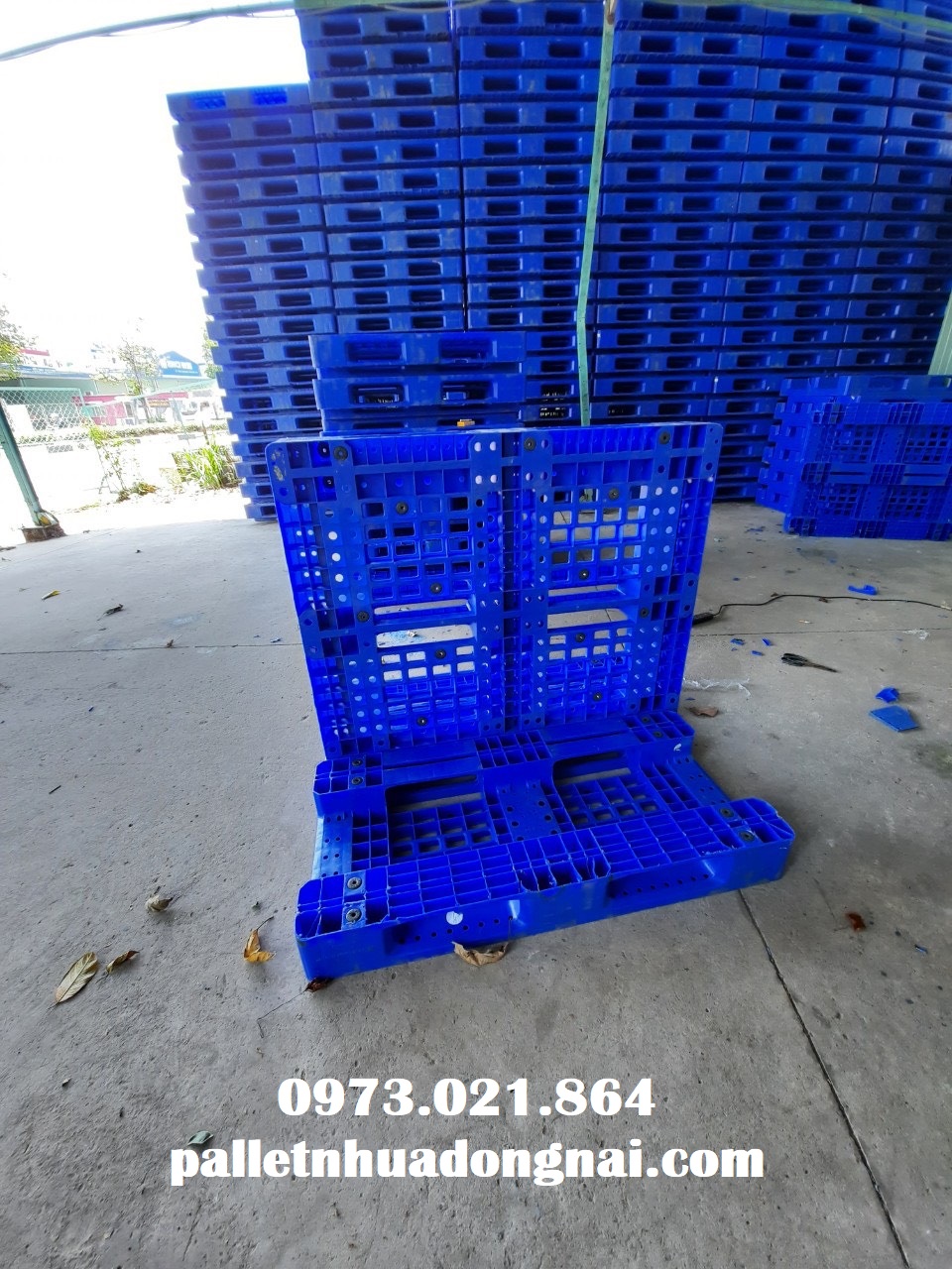 Pallet nhựa tại Tiền Giang, liên hệ 0973021864 (24/7)