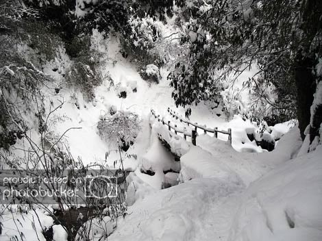 xiling_snow_mountain_in_sichuana729.jpg