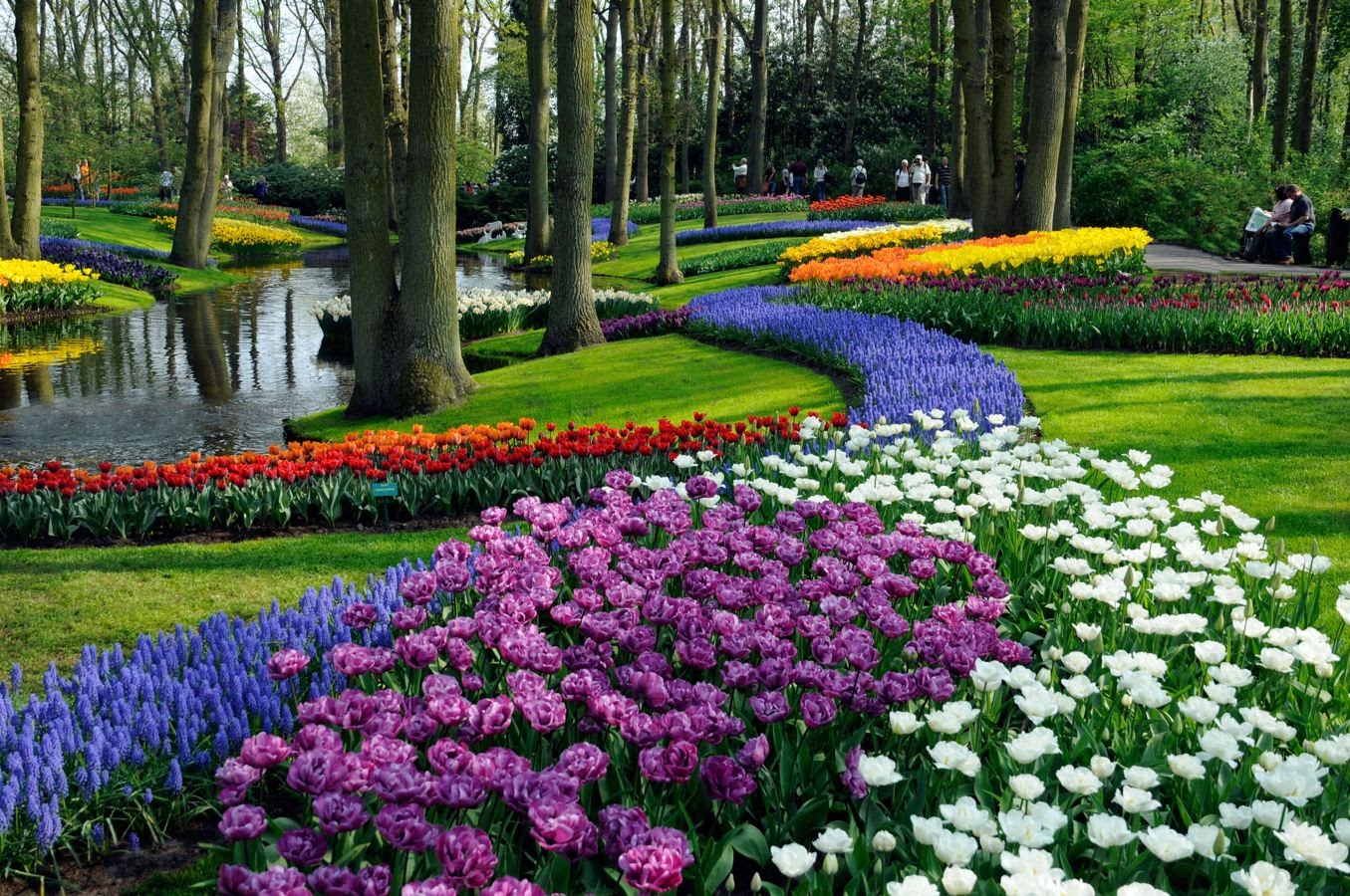 Gợi ý thiết kế vườn theo phong cách Châu Âu đẹp hoàn hảo