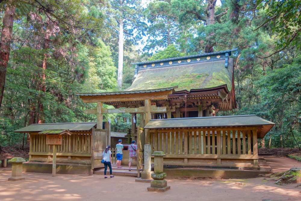 Kashima-jingu-shrine-forest.jpg