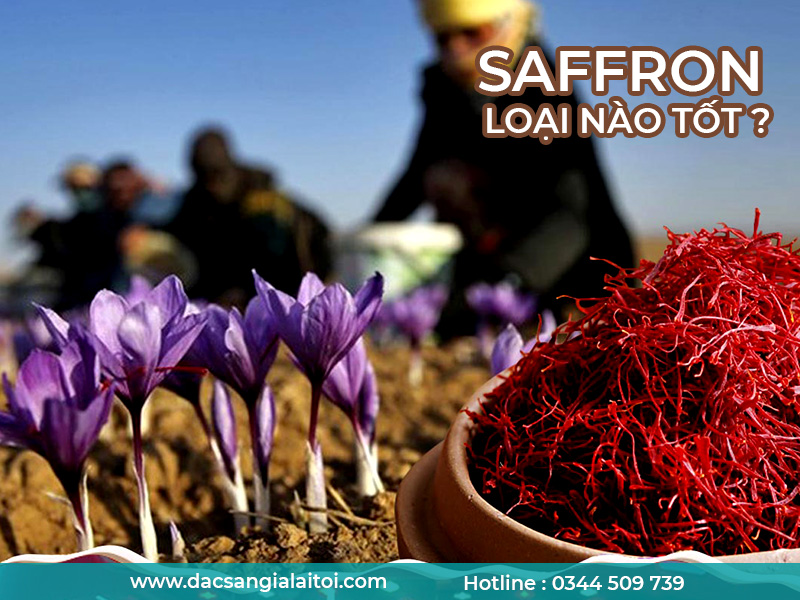 Saffron-LOAI-NAO-TOT-NHAT-2.jpg