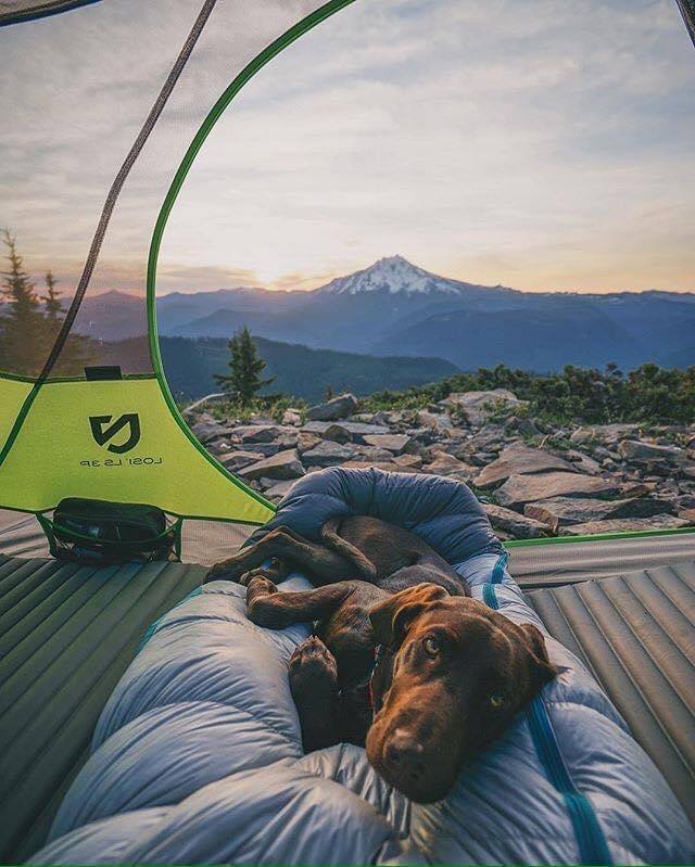 Túi ngủ là phụ kiện cắm trại không thể thiếu