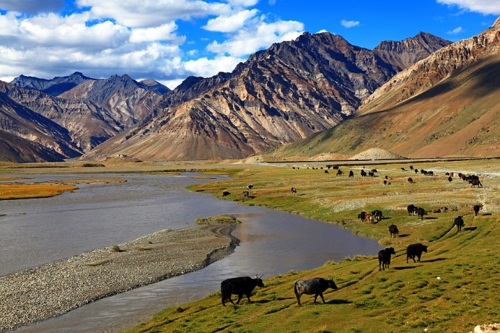 Zanskar-Valley-India-17.jpg